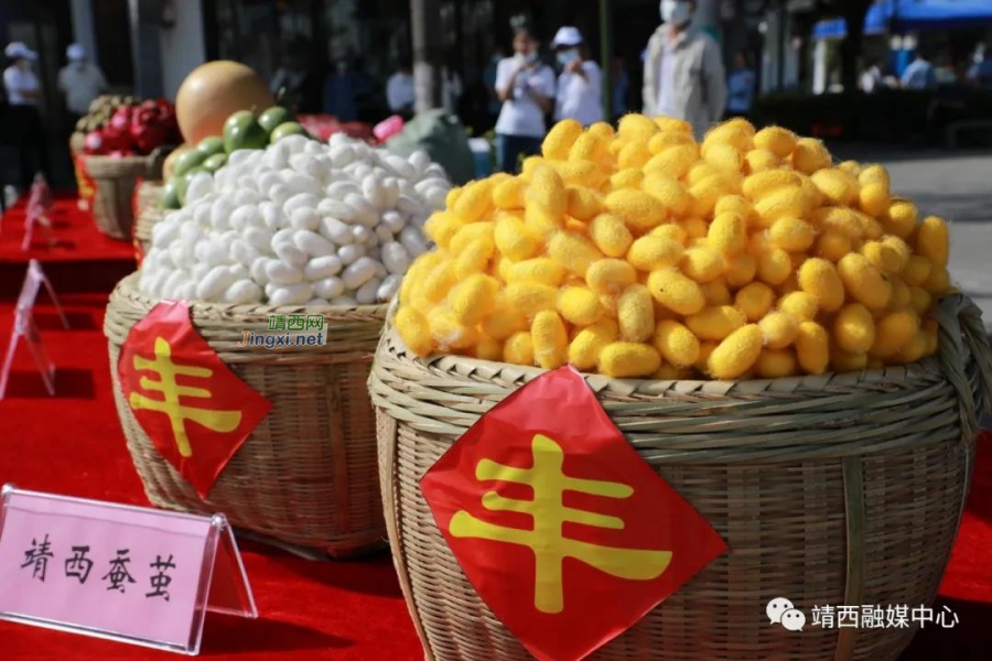 搜罗靖西美食特色，展示靖西农产品 - 靖西市·靖西网