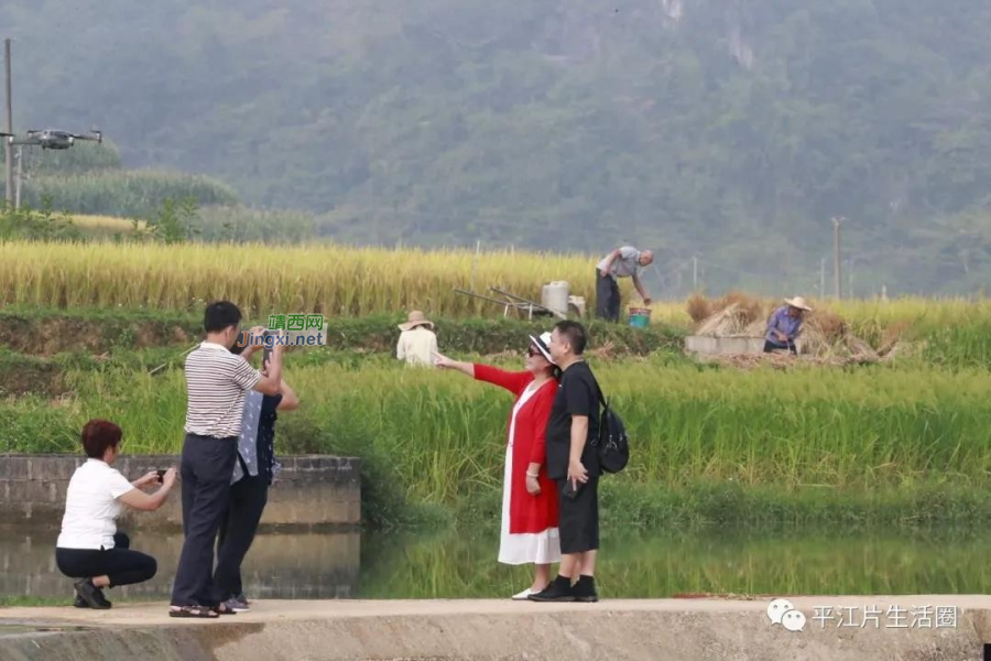 国庆节期间，靖西这个网红打卡地引来众多游客！ - 靖西市·靖西网