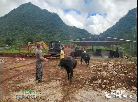 吞盘乡：“党建＋”引领乡村振兴跑出“加速度” - 靖西市·靖西网