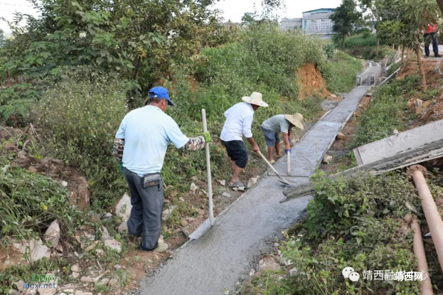 龙临镇大农村：巧用水源解难题 受淹耕地变宝地 - 靖西市·靖西网