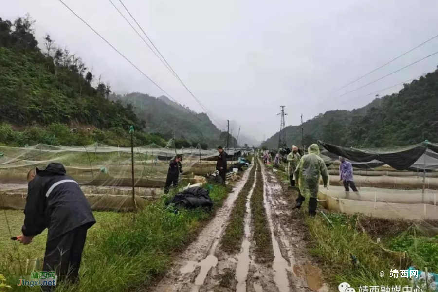 “零容忍”合力打击“两违”建筑 - 靖西市·靖西网