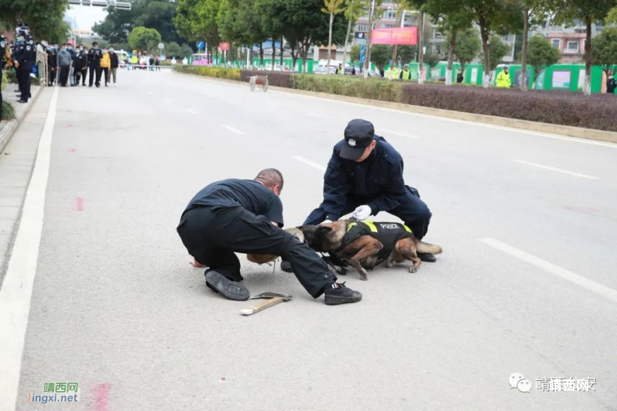 百色市公安机关疫情防控、“亮剑·靖边”打击偷越国（边）境犯罪专项行动警务宣传活动在靖西举行 - 靖西市·靖西网