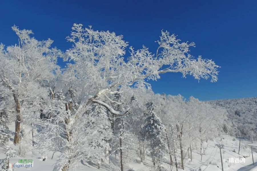 大雪 ， 冬之钢琴曲的重音 - 靖西市·靖西网