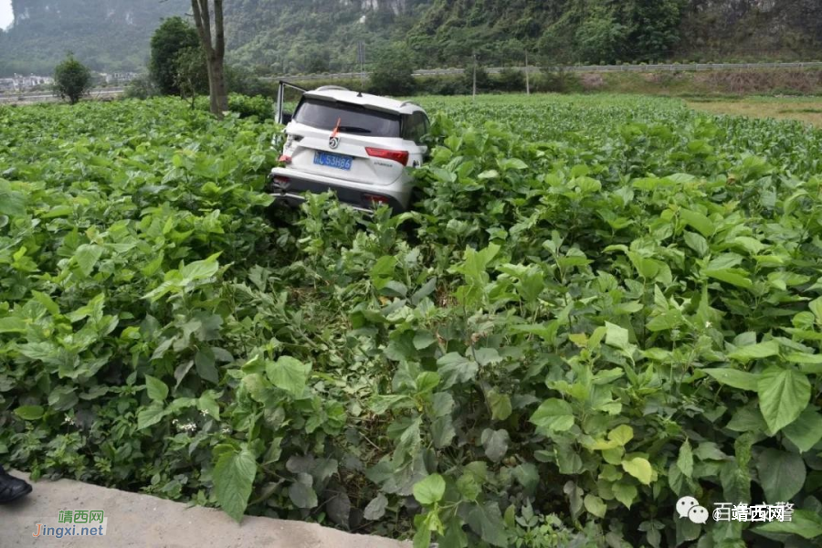 快过年了，小小一根安全带，你系（记）牢了吗？ - 靖西市·靖西网