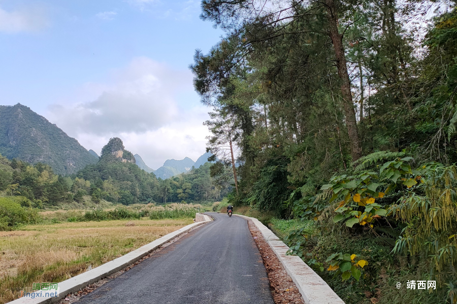 金鹅新路【漂流在建中】 - 靖西市·靖西网