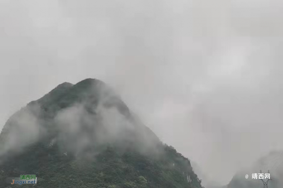 阳春三月，靖西农村地头农作物初成长~ - 靖西市·靖西网