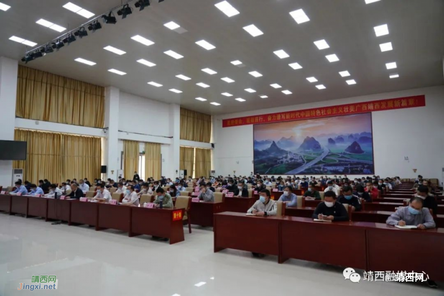 靖西组织参加百色市新冠肺炎疫情防控工作视频会 - 靖西市·靖西网
