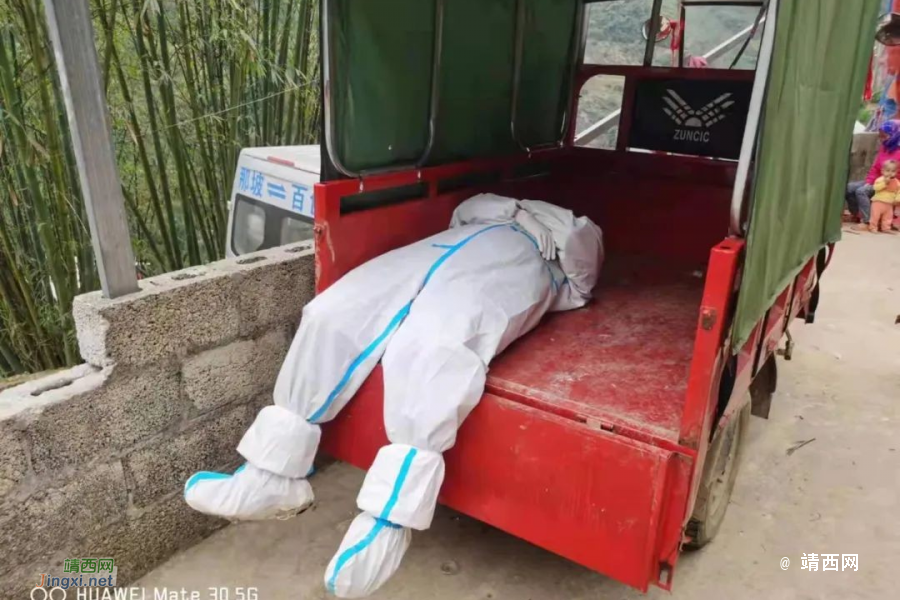 边境村落里，横七竖八的“白墩墩”，你们辛苦了！ - 靖西市·靖西网