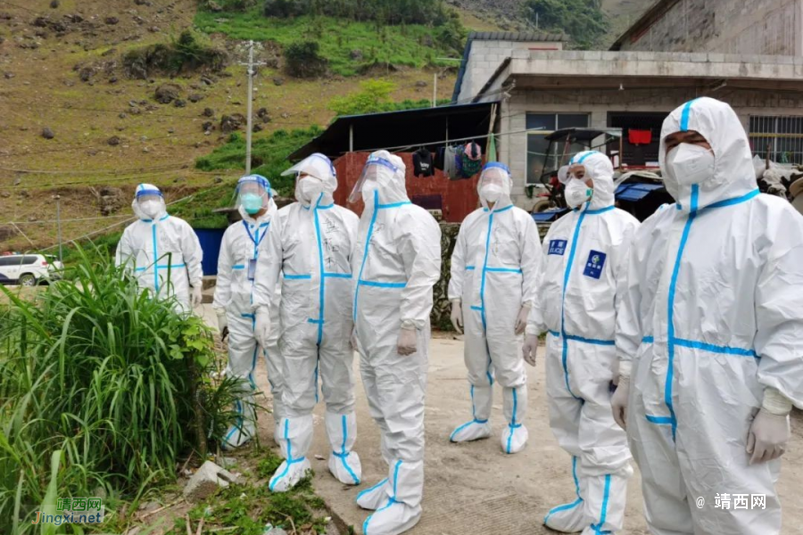 边境村落里，横七竖八的“白墩墩”，你们辛苦了！ - 靖西市·靖西网