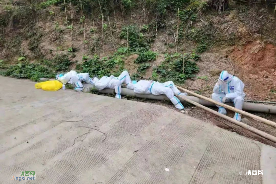 边境村落里，横七竖八的“白墩墩”，你们辛苦了！ - 靖西市·靖西网