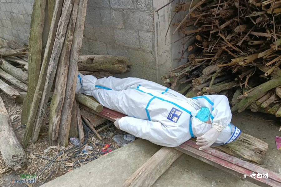 边境村落里，横七竖八的“白墩墩”，你们辛苦了！ - 靖西市·靖西网