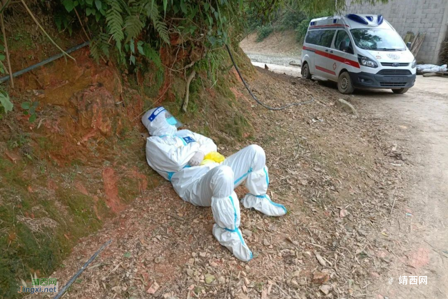 边境村落里，横七竖八的“白墩墩”，你们辛苦了！ - 靖西市·靖西网