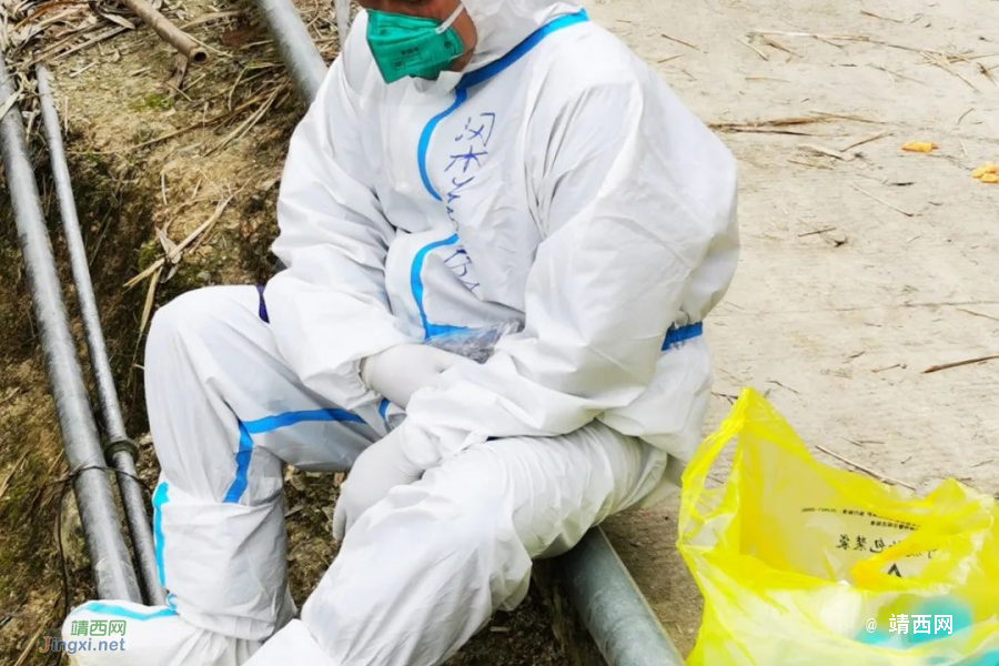 边境村落里，横七竖八的“白墩墩”，你们辛苦了！ - 靖西市·靖西网