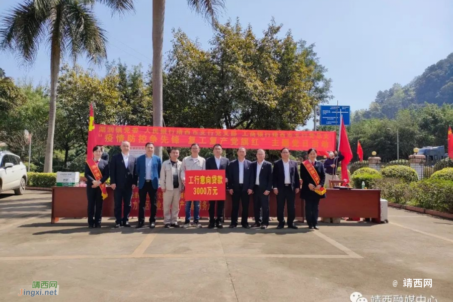 湖润镇：党建引领促发展 服务企业显担当 - 靖西市·靖西网