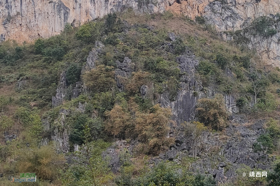 摩摩哥曾经赞扬的好地方，现在不能去了 - 靖西市·靖西网