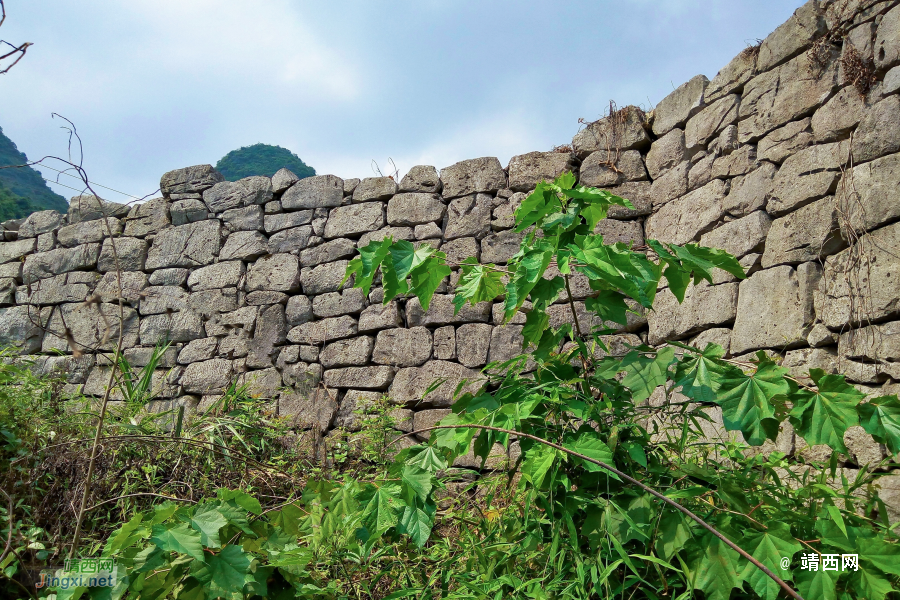“传说"中的广西最大土司墓群竟然在平果 - 靖西市·靖西网