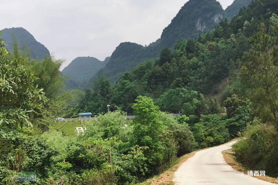 【不变的情怀】你是人间四月天 - 靖西市·靖西网