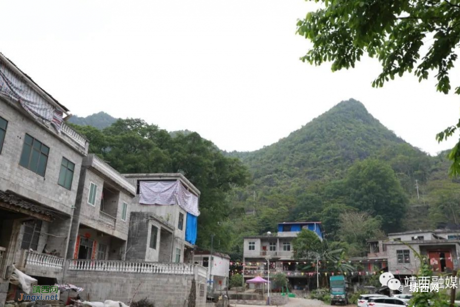 石头缝里吐“银丝” 高楼“蚕宝”好日子 - 靖西市·靖西网