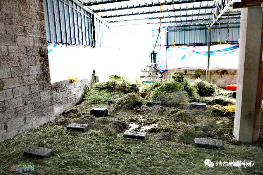 石头缝里吐“银丝” 高楼“蚕宝”好日子 - 靖西市·靖西网