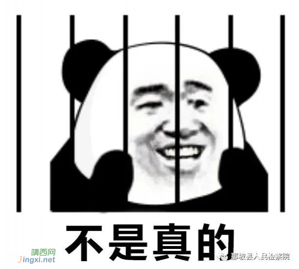 嚣张！男子从靖西、那坡二次“偷引带”还拒不认罪？判处8年！ - 靖西市·靖西网