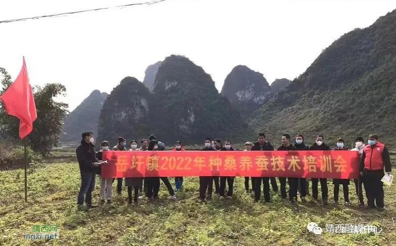 岳圩镇汉邦村：“农家课堂”撑开村民致富新天地 - 靖西市·靖西网