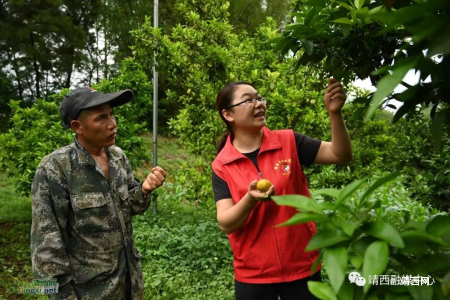 靖西市渠洋镇： “铁牛”书记黄冬运 - 靖西市·靖西网