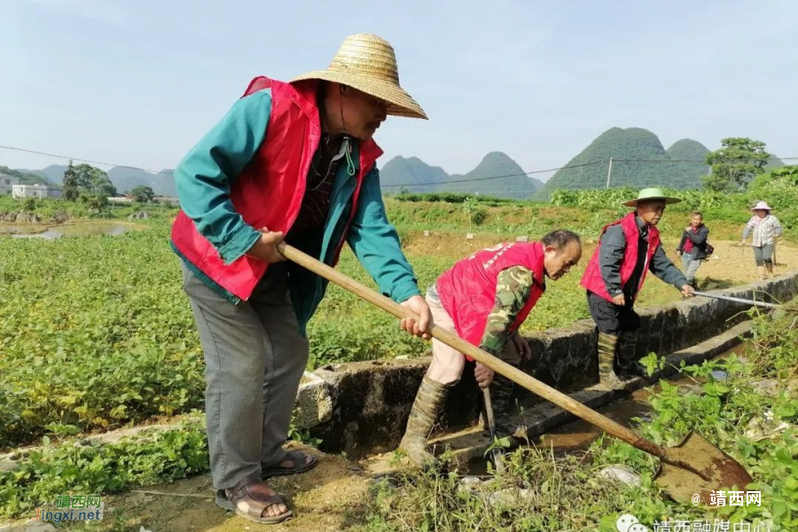 靖西同德乡：党建引领村民自治，乡村振兴我出力 - 靖西市·靖西网