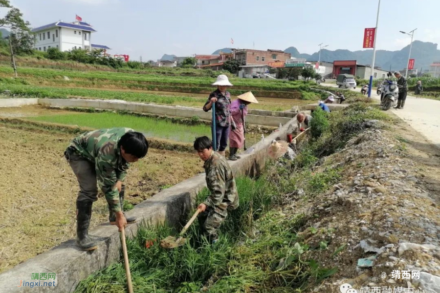 靖西同德乡：党建引领村民自治，乡村振兴我出力 - 靖西市·靖西网