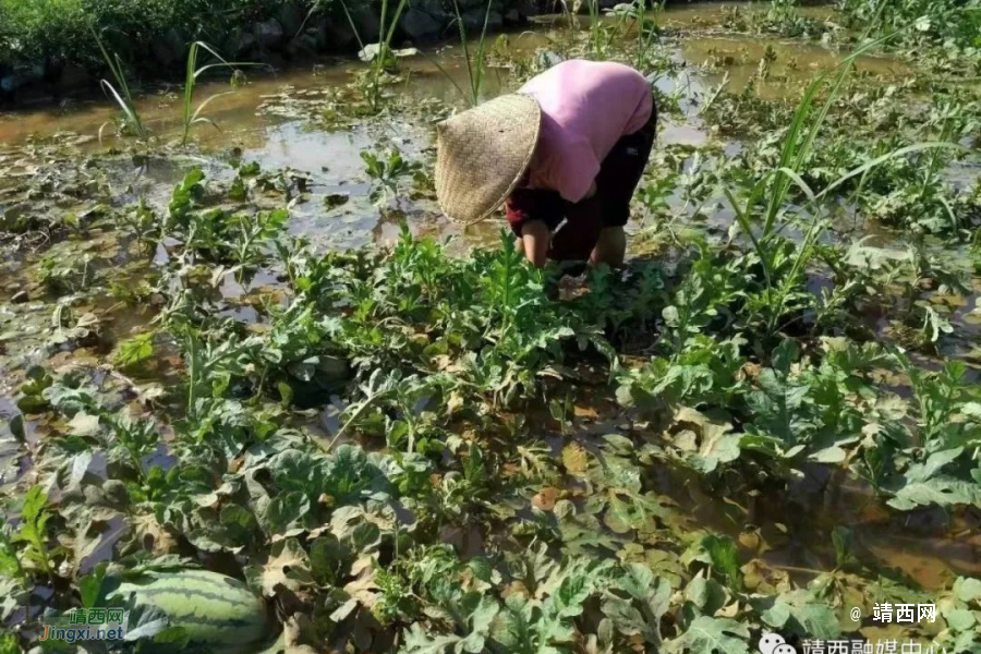 突发！持续降雨，致靖西市吞盘、地州、新靖等多个乡镇受灾 - 靖西市·靖西网