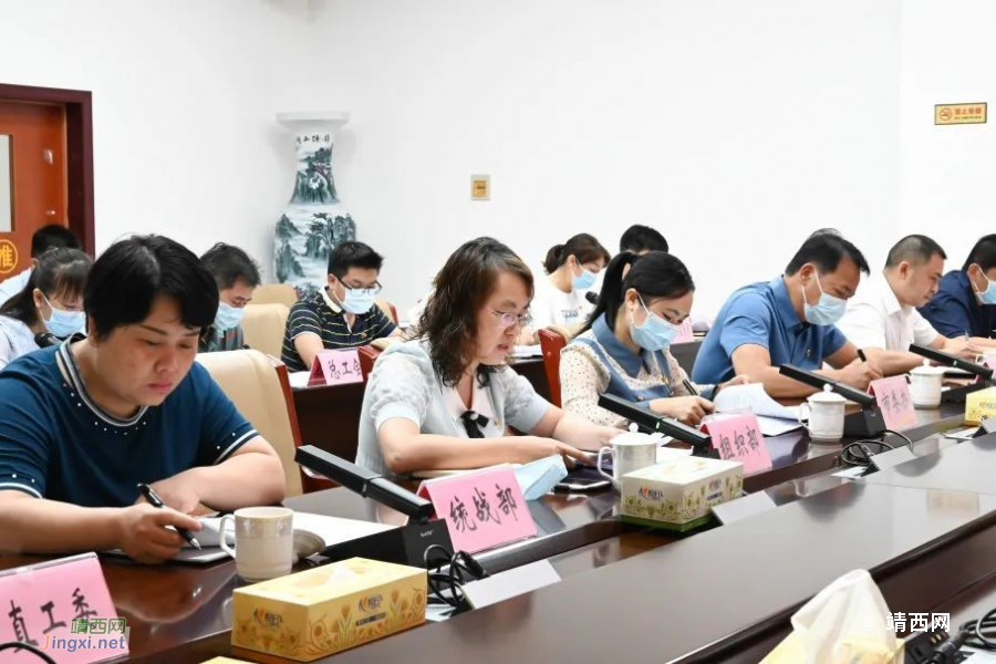 靖西市委召开党建工作领导小组会议部署今年重点工作 - 靖西市·靖西网