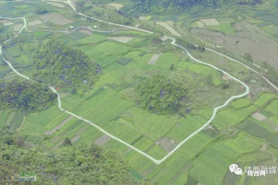 新甲乡龙臻村：党建引领助力村集体经济腾飞 - 靖西市·靖西网