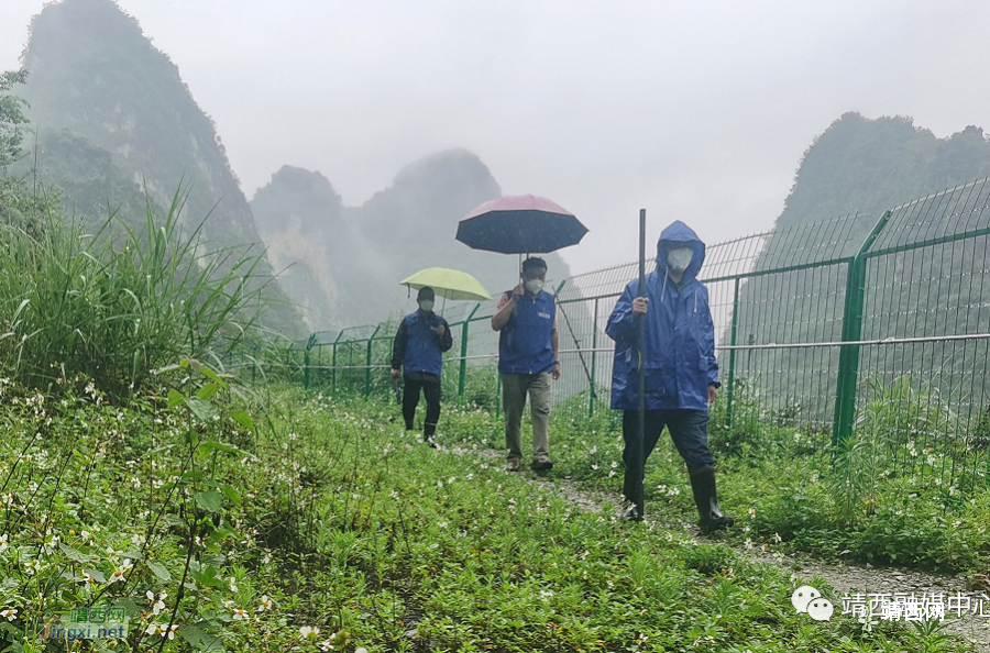 黄敬义：脚踏巡边路 “学习强国”伴我行 - 靖西市·靖西网