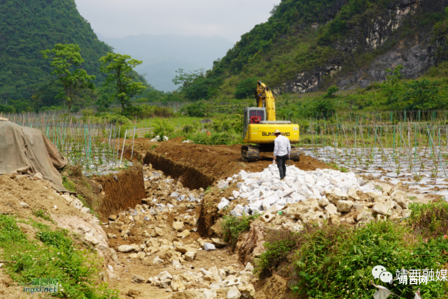 兴修水利拓宽产业路 夯实基础兴产业 - 靖西市·靖西网