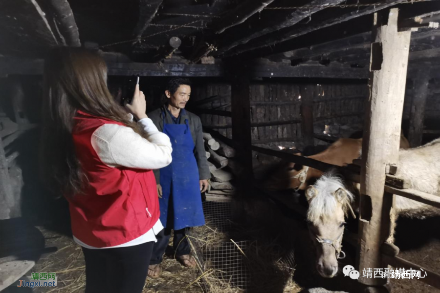 韦惠娟：住进村民心窝里 为乡村振兴贡献青春力量 - 靖西市·靖西网