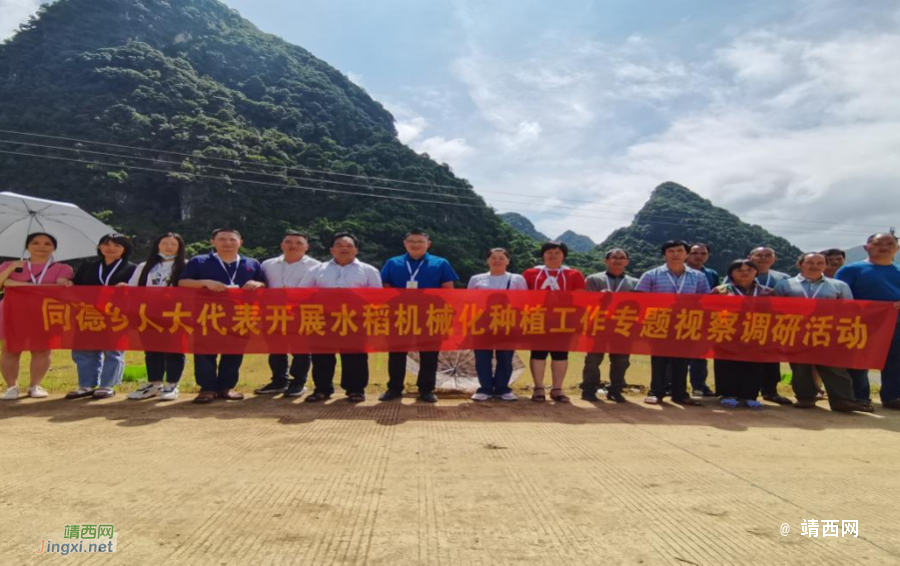 同德乡足表、同德、百达、乡府乡直片区人大代表联络站开展水稻机械化种植工作专题调研活动 - 靖西市·靖西网