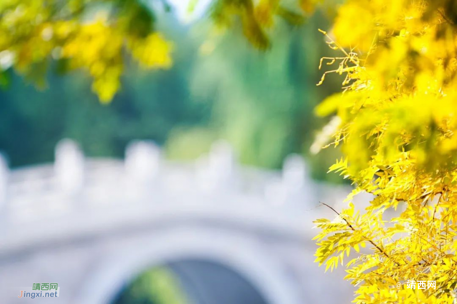 今日立秋 - 靖西市·靖西网