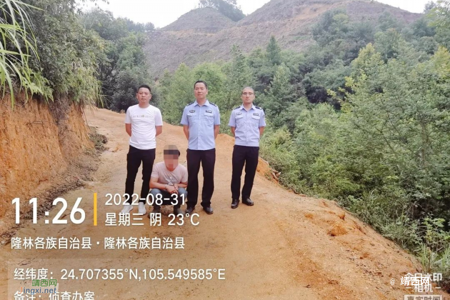 靖西邻县杨某勇、杨某长、杨某照、罗某威被刑拘！ - 靖西市·靖西网