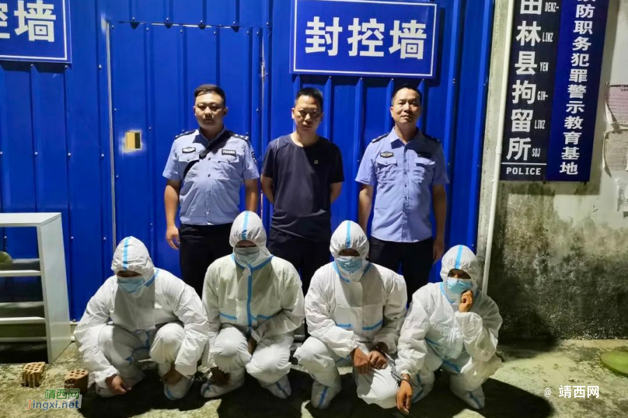 靖西邻县杨某勇、杨某长、杨某照、罗某威被刑拘！ - 靖西市·靖西网
