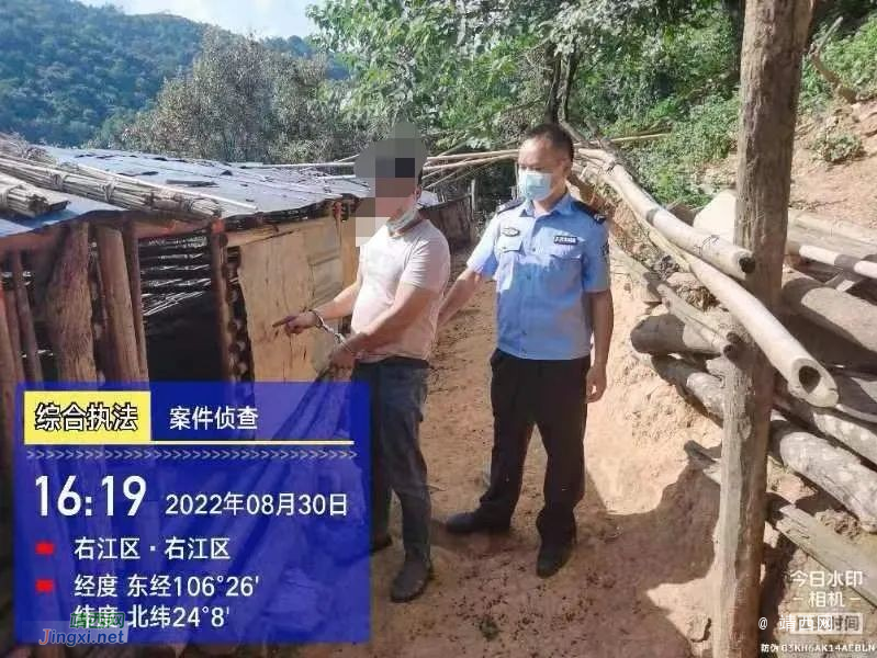 靖西邻县杨某勇、杨某长、杨某照、罗某威被刑拘！ - 靖西市·靖西网