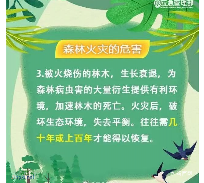 森林火险气象等级高！广西霸屏全国高温榜 未来几日仍晴燥少雨 - 靖西市·靖西网