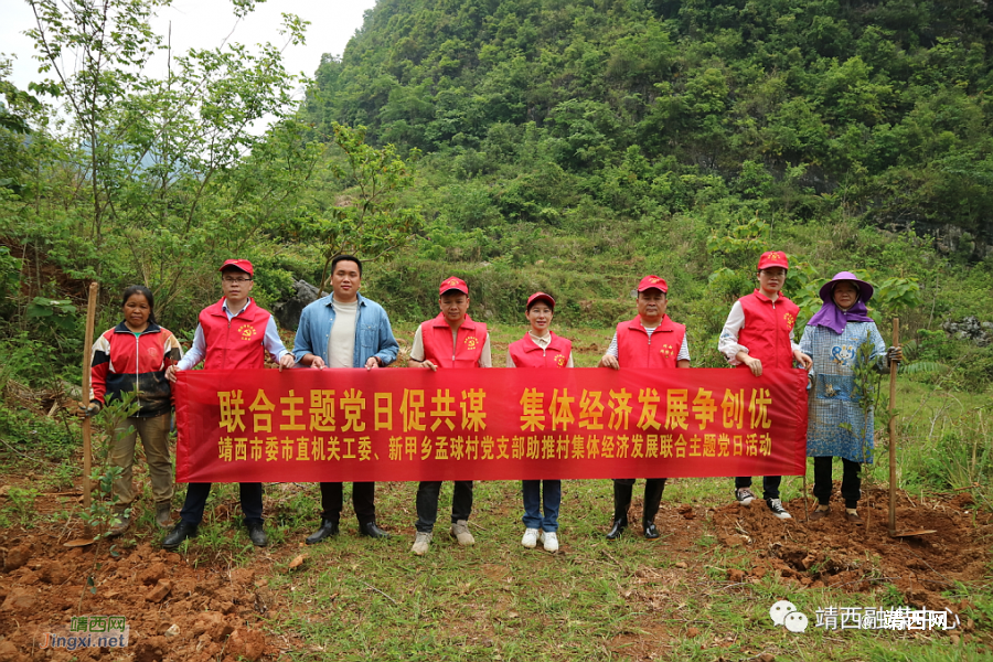 靖西市委市直机关工委“五强五抓”扎实推进清廉机关建设 - 靖西市·靖西网