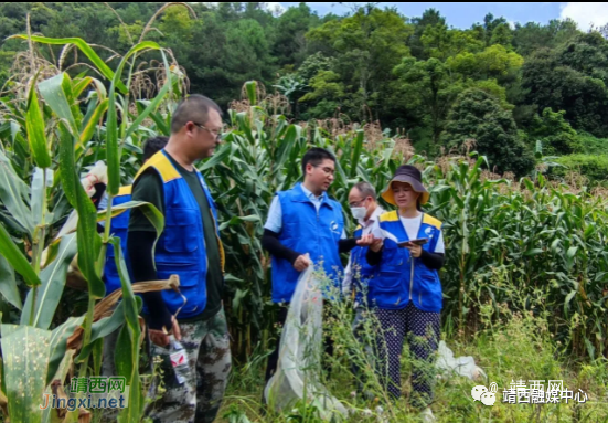 国家统计局靖西调查队：弘扬法治精神 有效发挥统计监督职能作用 - 靖西市·靖西网