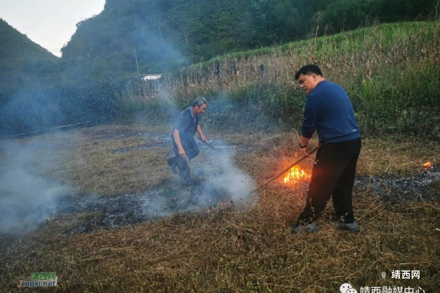 靖西市果乐乡：人大代表筑牢秸秆禁烧“防火墙” - 靖西市·靖西网