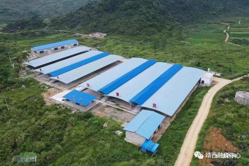 靖西市安宁乡：党建“牵线”人才“搭桥” 激发乡村振兴新活力 - 靖西市·靖西网