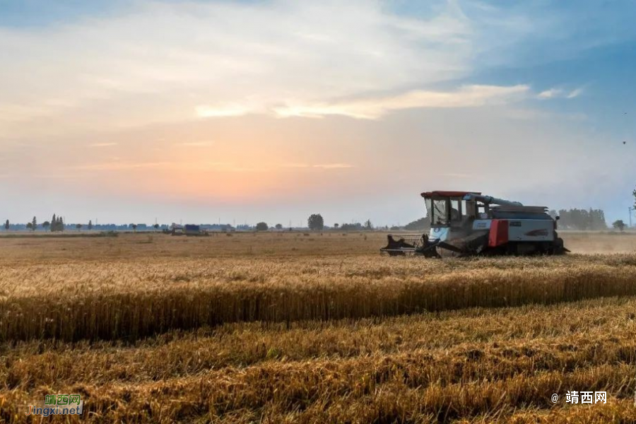在中央农村工作会议上，习近平这样部署建设农业强国 - 靖西市·靖西网
