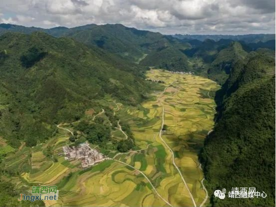 靖西市南坡乡底定黑鲤鱼被注册为“婻波鱼” - 靖西市·靖西网