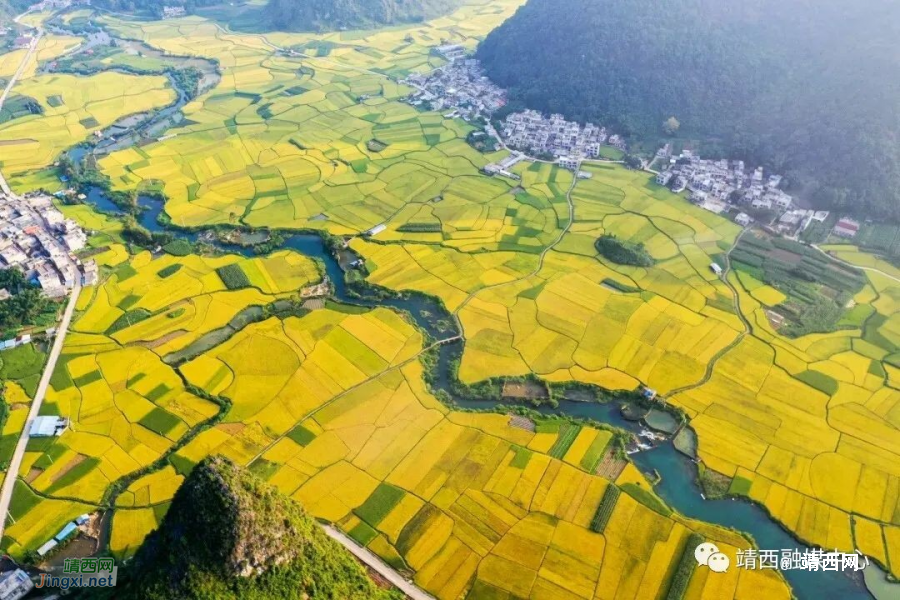 靖西地州镇：党建领航促发展 凝心铸魂显担当 - 靖西市·靖西网