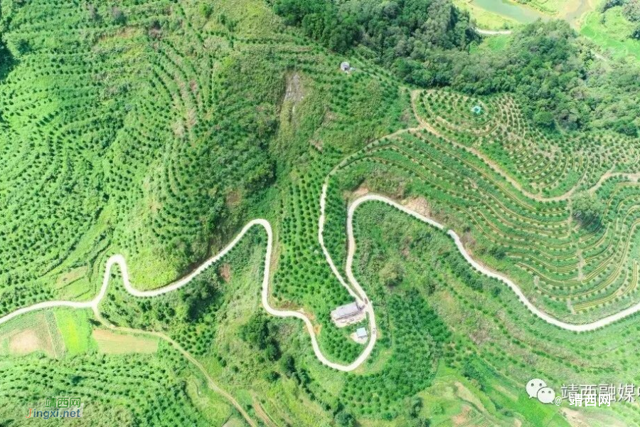 靖西地州镇：党建领航促发展 凝心铸魂显担当 - 靖西市·靖西网