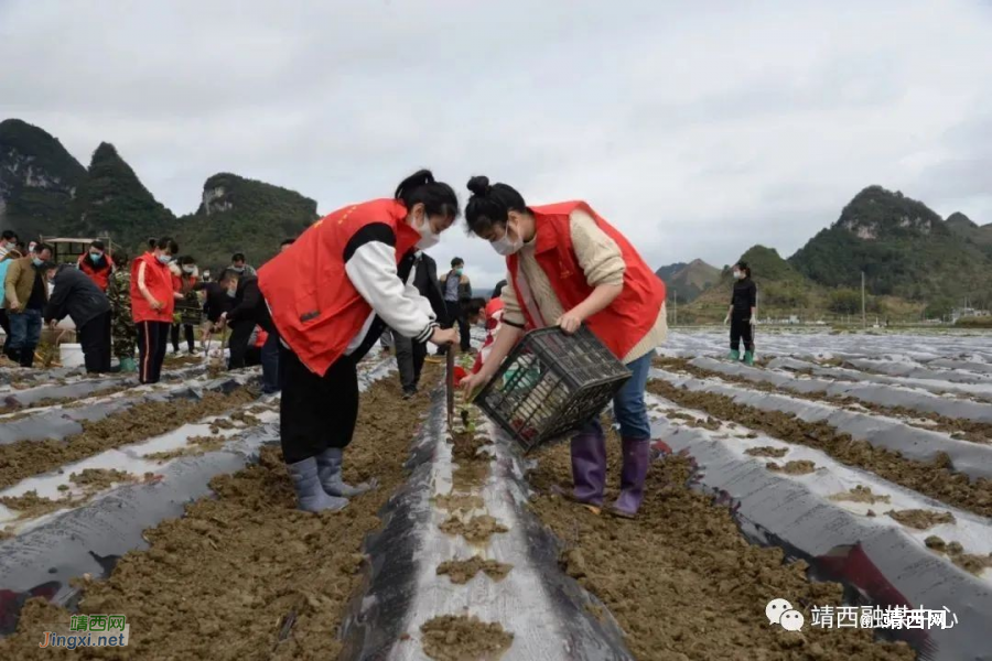 靖西地州镇：党建领航促发展 凝心铸魂显担当 - 靖西市·靖西网
