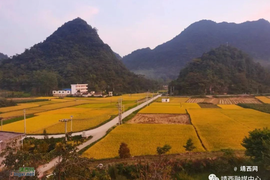 靖西市三荷村：奏响乡村振兴曲 一任接着一任干 - 靖西市·靖西网